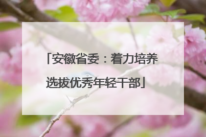 安徽省委：着力培养选拔优秀年轻干部
