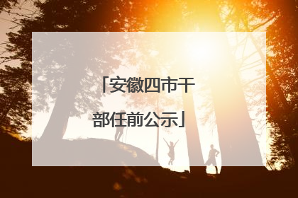 安徽四市干部任前公示