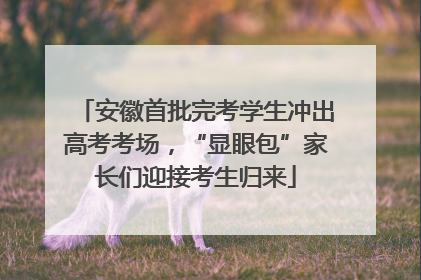 安徽首批完考学生冲出高考考场，“显眼包”家长们迎接考生归来