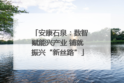 安康石泉：数智赋能兴产业 铺就振兴“新丝路”