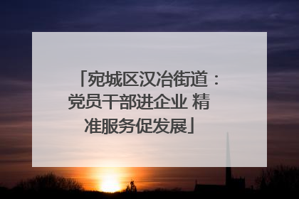 宛城区汉冶街道：党员干部进企业 精准服务促发展