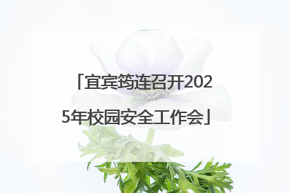 宜宾筠连召开2025年校园安全工作会
