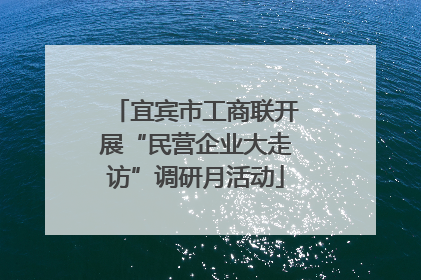 宜宾市工商联开展“民营企业大走访”调研月活动