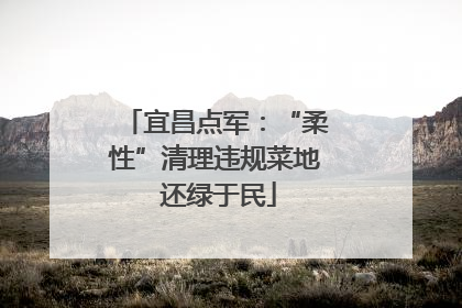 宜昌点军：“柔性”清理违规菜地 还绿于民