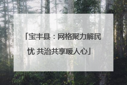 宝丰县：网格聚力解民忧 共治共享暖人心