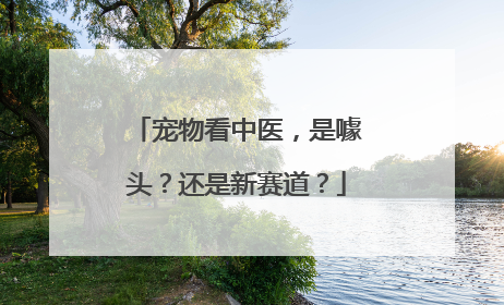 宠物看中医，是噱头？还是新赛道？