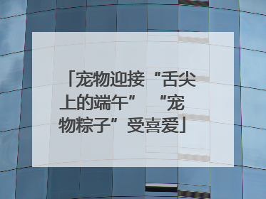 宠物迎接“舌尖上的端午” “宠物粽子”受喜爱