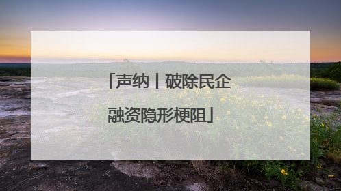 声纳丨破除民企融资隐形梗阻