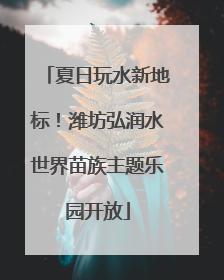 夏日玩水新地标！潍坊弘润水世界苗族主题乐园开放