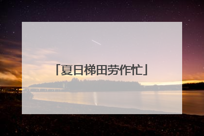 夏日梯田劳作忙
