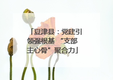 夏津县：党建引领强根基 “支部主心骨”聚合力