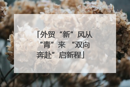 外贸“新”风从“青”来 “双向奔赴”启新程