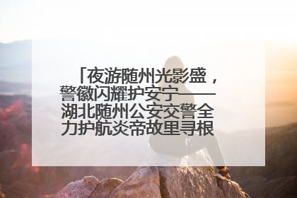 夜游随州光影盛，警徽闪耀护安宁——湖北随州公安交警全力护航炎帝故里寻根节夜游活动侧记