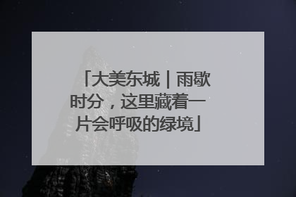 大美东城｜雨歇时分，这里藏着一片会呼吸的绿境
