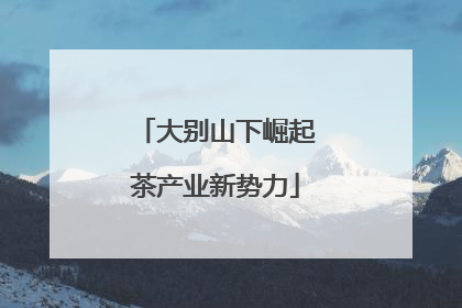 大别山下崛起茶产业新势力