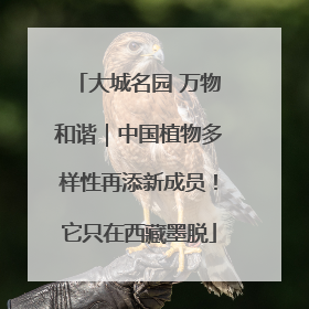 大城名园 万物和谐｜中国植物多样性再添新成员！它只在西藏墨脱