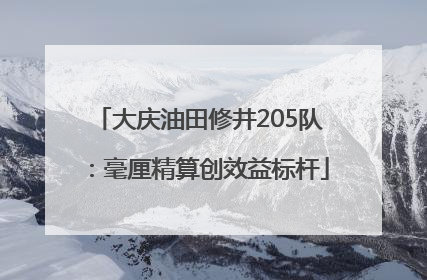 大庆油田修井205队：毫厘精算创效益标杆