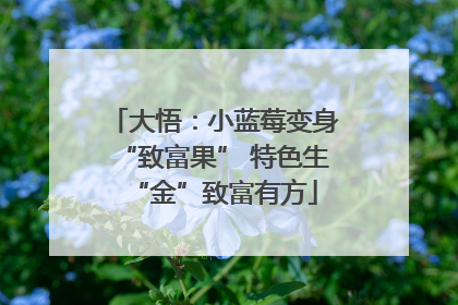 大悟：小蓝莓变身“致富果” 特色生“金”致富有方