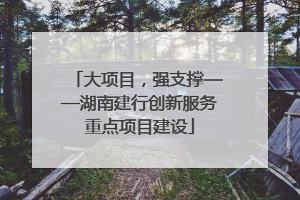 大项目，强支撑——湖南建行创新服务重点项目建设