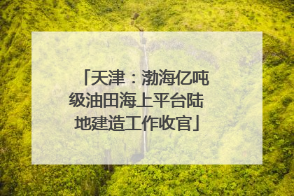 天津：渤海亿吨级油田海上平台陆地建造工作收官