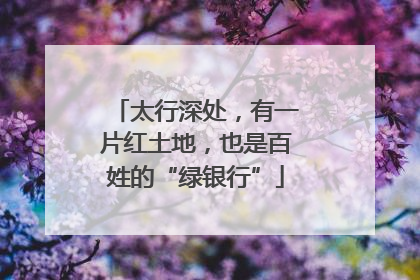 太行深处，有一片红土地，也是百姓的“绿银行”