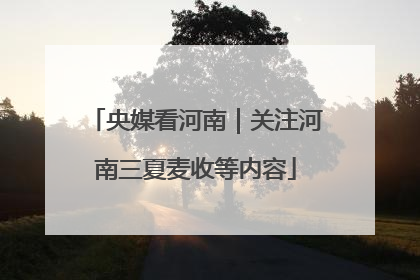 央媒看河南｜关注河南三夏麦收等内容