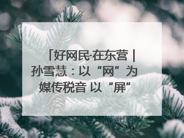 好网民·在东营｜孙雪慧：以“网”为媒传税音 以“屏”为介助发展