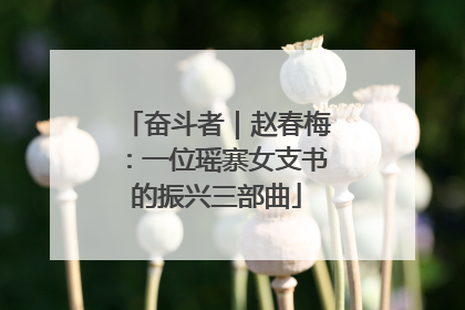 奋斗者｜赵春梅：一位瑶寨女支书的振兴三部曲