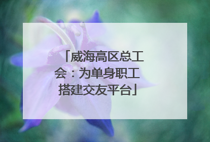 威海高区总工会：为单身职工搭建交友平台