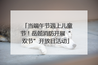 当端午节遇上儿童节！岳麓消防开展“双节”开放日活动