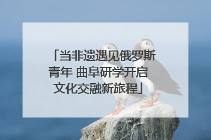 当非遗遇见俄罗斯青年 曲阜研学开启文化交融新旅程