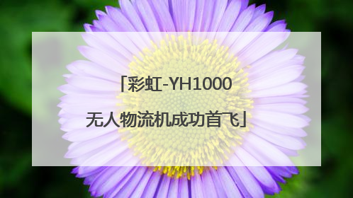 彩虹-YH1000无人物流机成功首飞