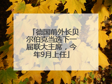 德国前外长贝尔伯克当选下一届联大主席，今年9月上任