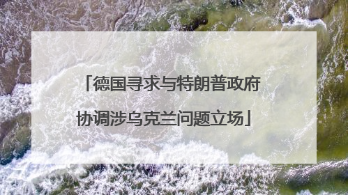 德国寻求与特朗普政府协调涉乌克兰问题立场