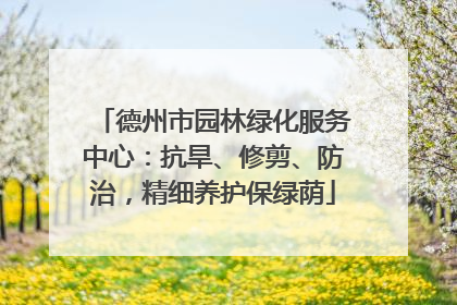 德州市园林绿化服务中心：抗旱、修剪、防治，精细养护保绿荫