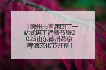 德州市首届职工一站式惠工消费节暨2025山东德州燕京啤酒文化节开幕