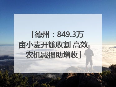 德州：849.3万亩小麦开镰收割 高效农机减损助增收