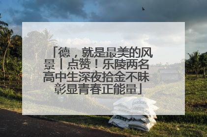 德，就是最美的风景丨点赞！乐陵两名高中生深夜拾金不昧 彰显青春正能量