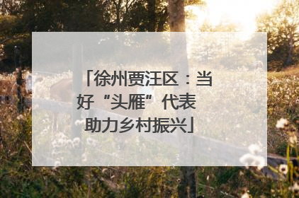 徐州贾汪区：当好“头雁”代表 助力乡村振兴