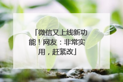 微信又上线新功能！网友：非常实用，赶紧改