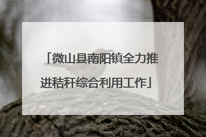 微山县南阳镇全力推进秸秆综合利用工作
