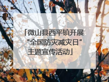 微山县西平镇开展“全国防灾减灾日”主题宣传活动