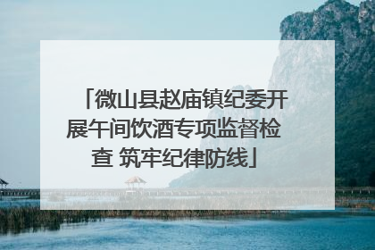 微山县赵庙镇纪委开展午间饮酒专项监督检查 筑牢纪律防线