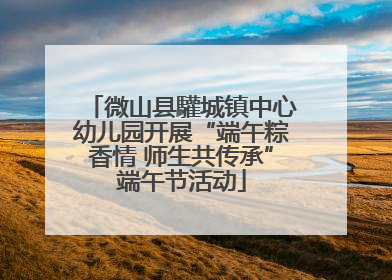 微山县驩城镇中心幼儿园开展“端午粽香情 师生共传承”端午节活动