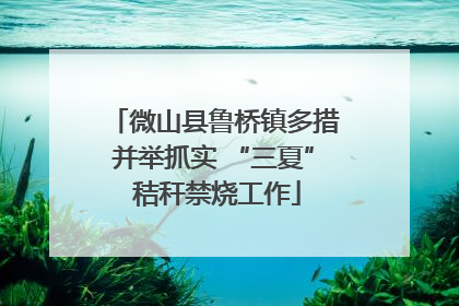 微山县鲁桥镇多措并举抓实 “三夏” 秸秆禁烧工作