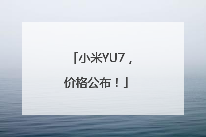 小米YU7，价格公布！