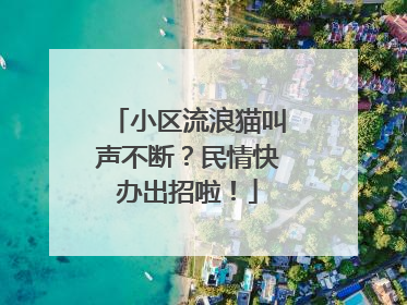 小区流浪猫叫声不断？民情快办出招啦！
