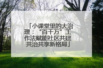 小课堂里的大治理：“百千万”工作法赋能社区共建共治共享新格局