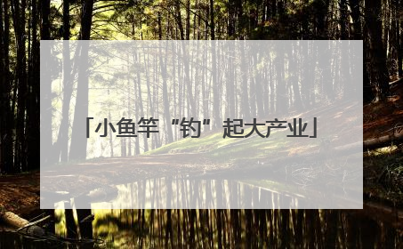 小鱼竿“钓”起大产业
