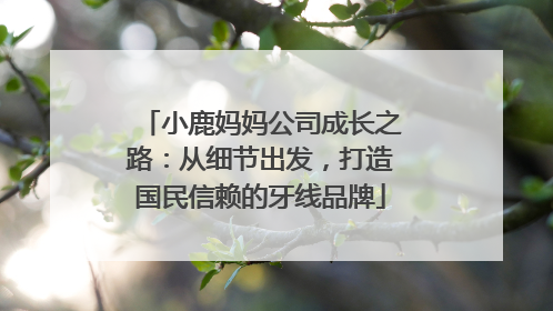 小鹿妈妈公司成长之路：从细节出发，打造国民信赖的牙线品牌